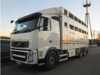 Kamion za prijevoz stoke VOLVO FH 460