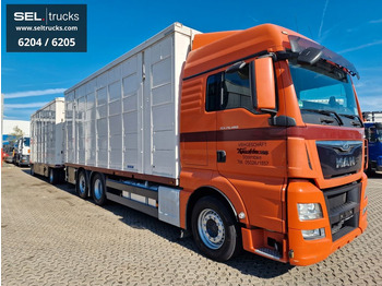 Kamion za prijevoz stoke MAN TGX 26.480 / KOMPLETT /Hub/3 Stock/Durchlade: slika Kamion za prijevoz stoke MAN TGX 26.480 / KOMPLETT /Hub/3 Stock/Durchlade