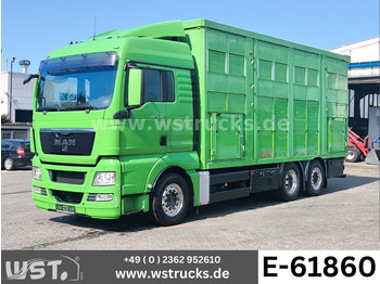 Kamion za prijevoz stoke MAN TGX 26.480