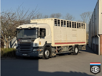 Kamion za prijevoz stoke SCANIA P 400