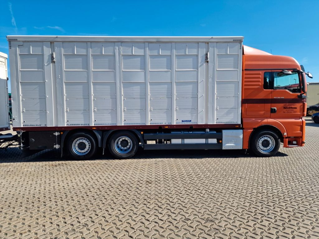 Kamion za prijevoz stoke MAN TGX 26.480 / KOMPLETT /Hub/3 Stock/Durchlade: slika Kamion za prijevoz stoke MAN TGX 26.480 / KOMPLETT /Hub/3 Stock/Durchlade