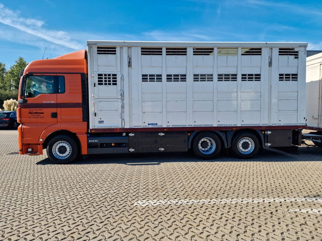 Kamion za prijevoz stoke MAN TGX 26.480 / KOMPLETT /Hub/3 Stock/Durchlade: slika Kamion za prijevoz stoke MAN TGX 26.480 / KOMPLETT /Hub/3 Stock/Durchlade