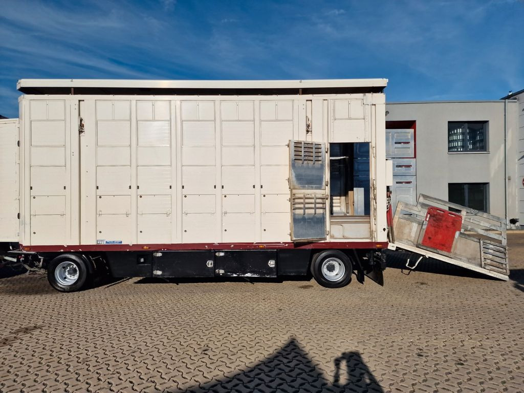 Kamion za prijevoz stoke MAN TGX 26.480 / KOMPLETT /Hub/3 Stock/Durchlade: slika Kamion za prijevoz stoke MAN TGX 26.480 / KOMPLETT /Hub/3 Stock/Durchlade